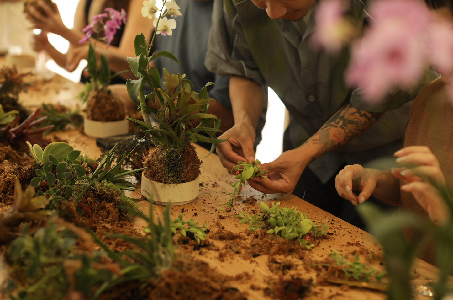 Kokedama Workshop With JiaHao Peng